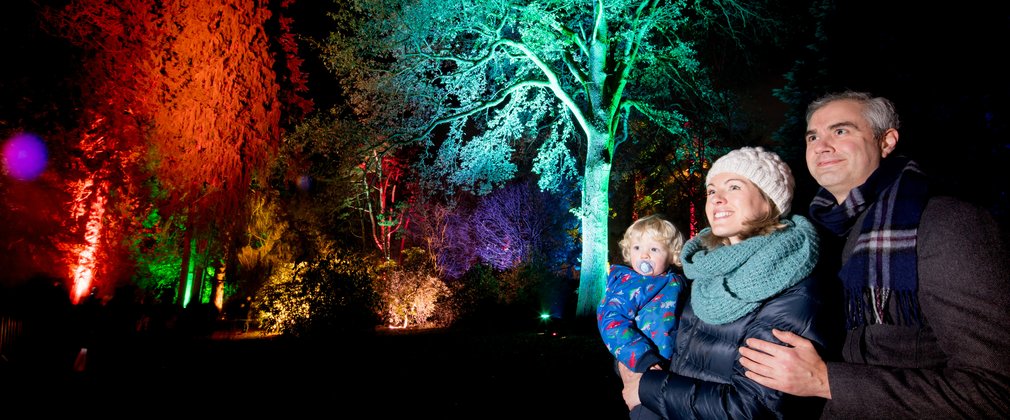 Enchated Christmas Westonbirt