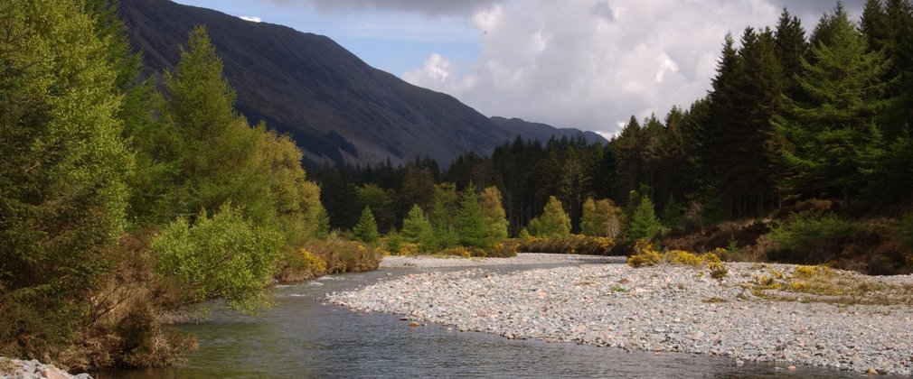 Stream running through Ennerdale 