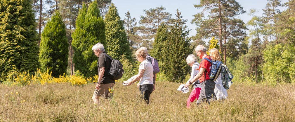 Group of people walking through heath on a sunny day with trees in the background.