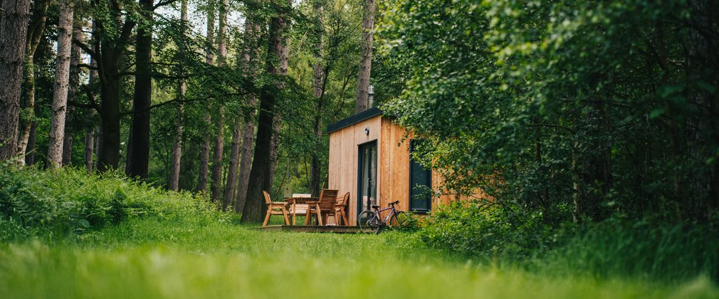 Cabin in a forest