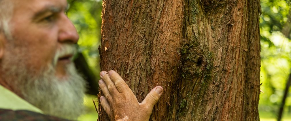 Man touching a tree with his hand