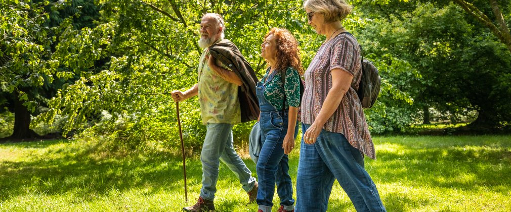 Three friends walking in the woods 