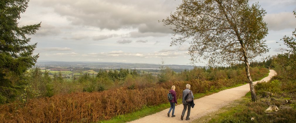 a couple walking along a wide forest rail with a panorama