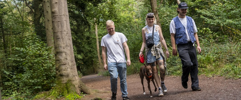 Walkers on a forest trail