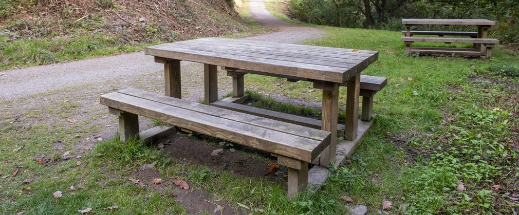 Picnic benches at Cardinham Woods