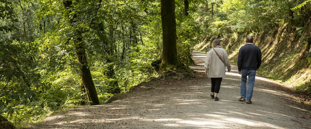 Two walkers under dappled shade