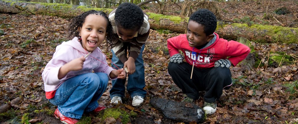 Children looking at forest floor