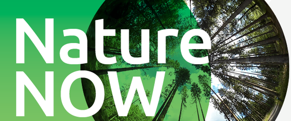 Nature Now banner