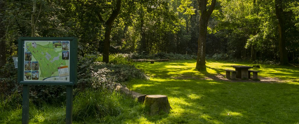 Savernake Forest picnic table