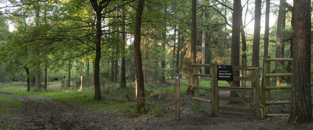 Entrance gate to Wyre Forest Arboretum