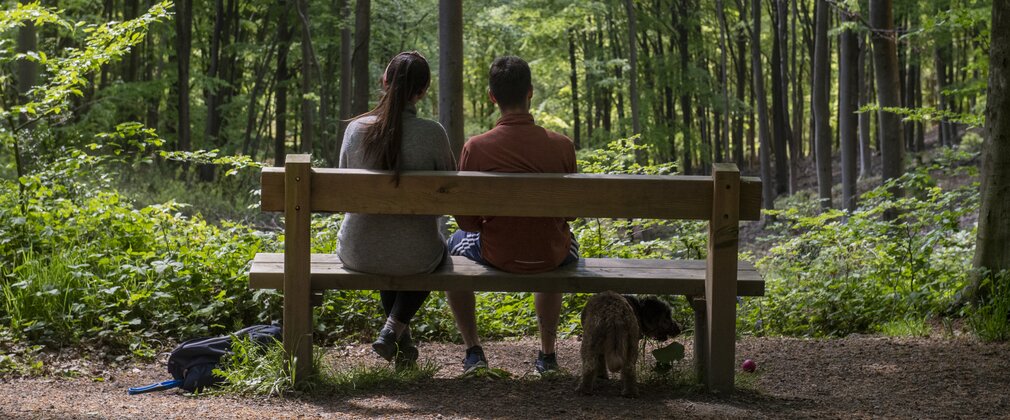 Two people sat on a bench looking in to green woodland. They also have a small dog with them.