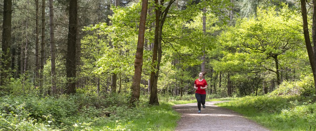 Female runner on a trail through a forest