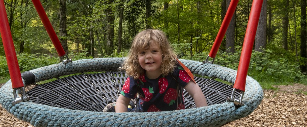 Child playing in swing