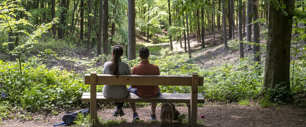 A couple sitting on a bench in the forest