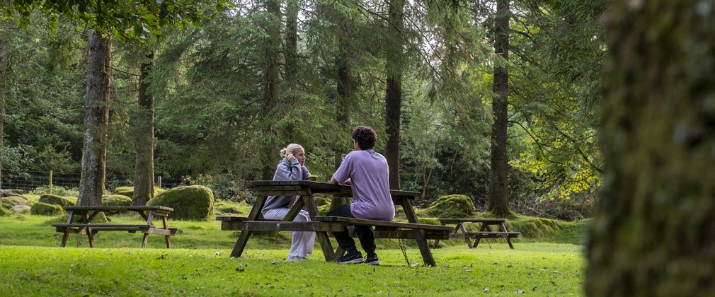 A couple sitting at a picnic bench in a conifer forest