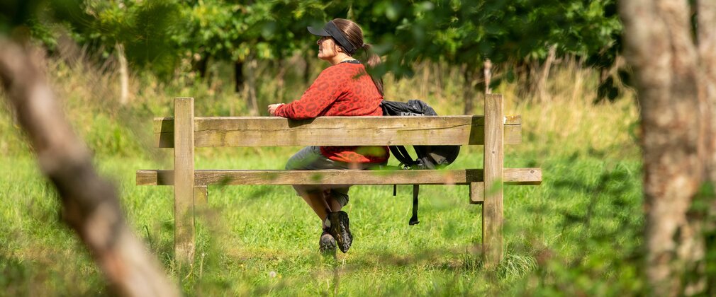 a woman wearing a red top sit on a bench in a forest, looking off into the distance