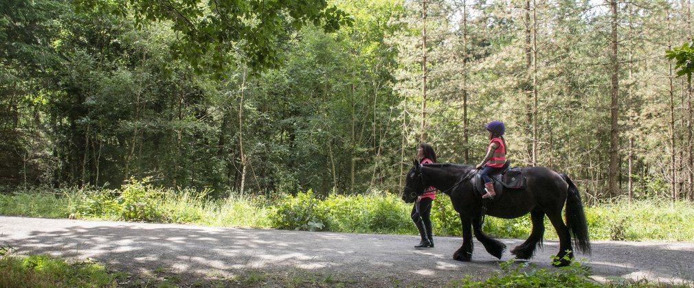 Pony with child rider being led along a forest road
