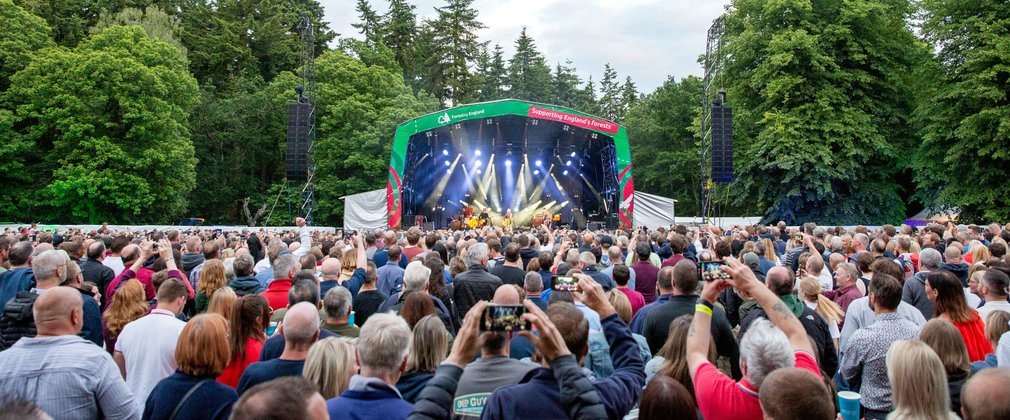 Outdoor concert crowd in a forest