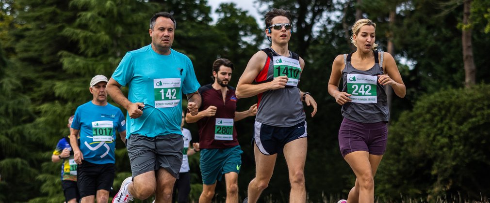 Runners in a forest running event