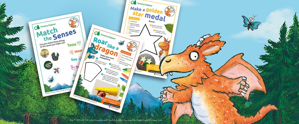 Zog with activity sheets