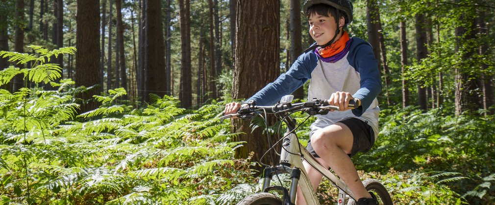 Boy on a bike in a forest