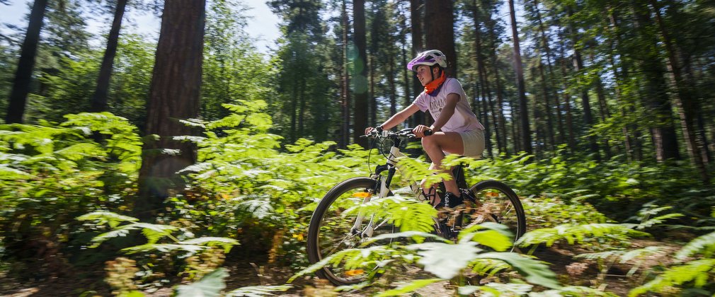 Child cycling through forest