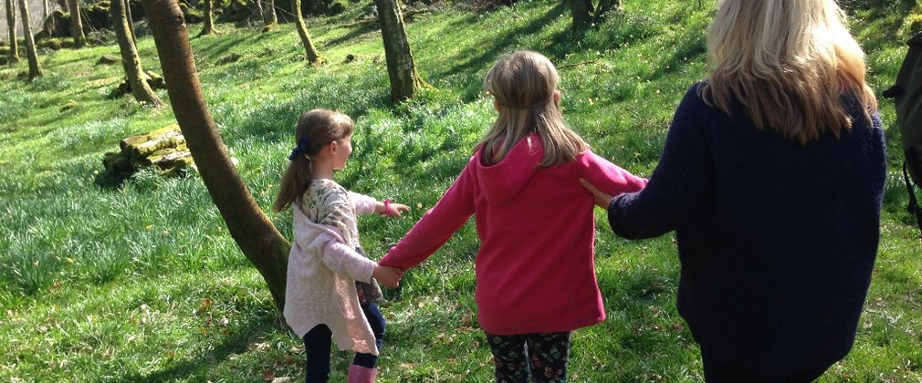 Family forest relaxation