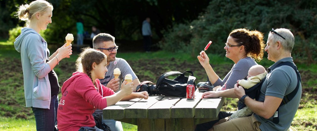 Family having picnic and ice cream in the forest