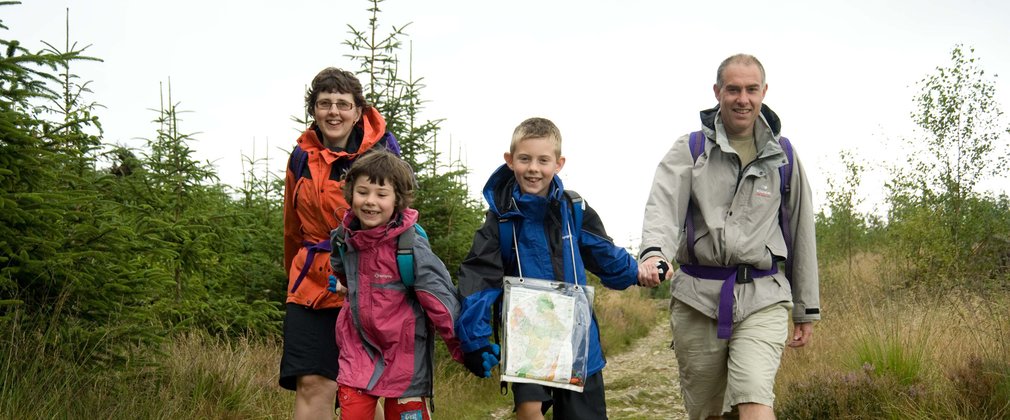 Family of four walking through the forest on a rocky path