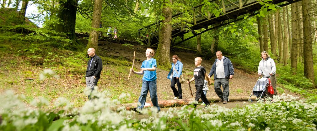 Family walking in Grizedale forest