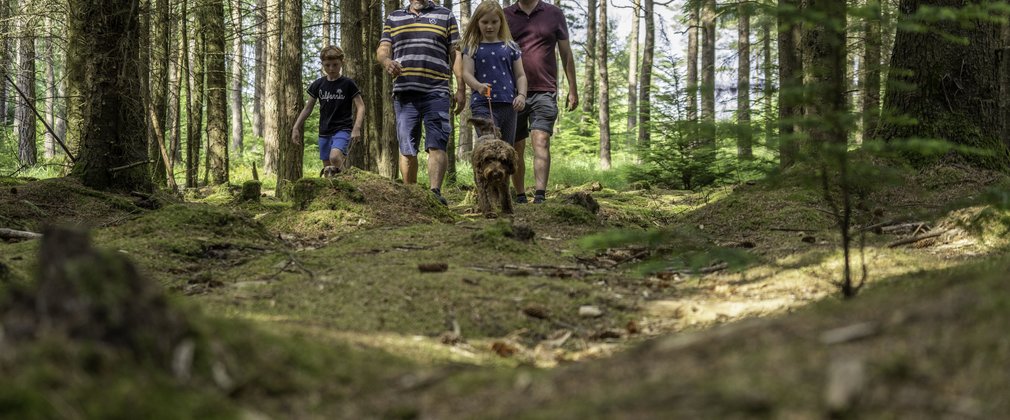 Two adults and two children are walking a dog through conifer trees