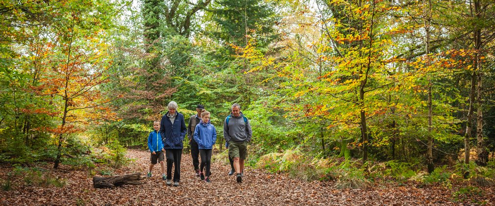 Family walking Forest of Dean generic 