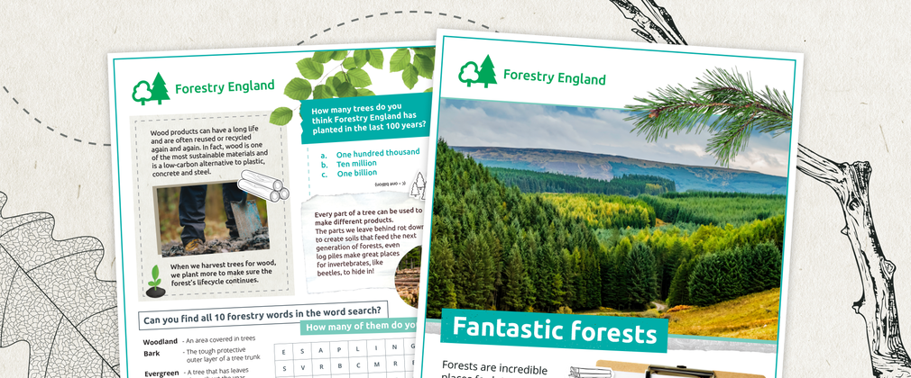 Fantastic forests activity sheet