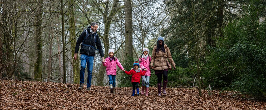 A family walk hand in hand through a winter scene with brown leaves on the floor.