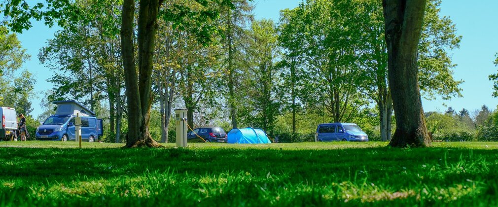 Tents and campervans at Fineshade Wood campsite