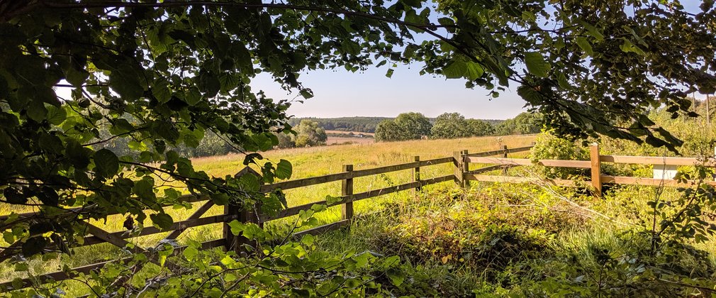 Wooden fence in front of fresh green field on sunny day