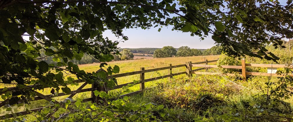 Wooden fence in front of fresh green field on sunny day