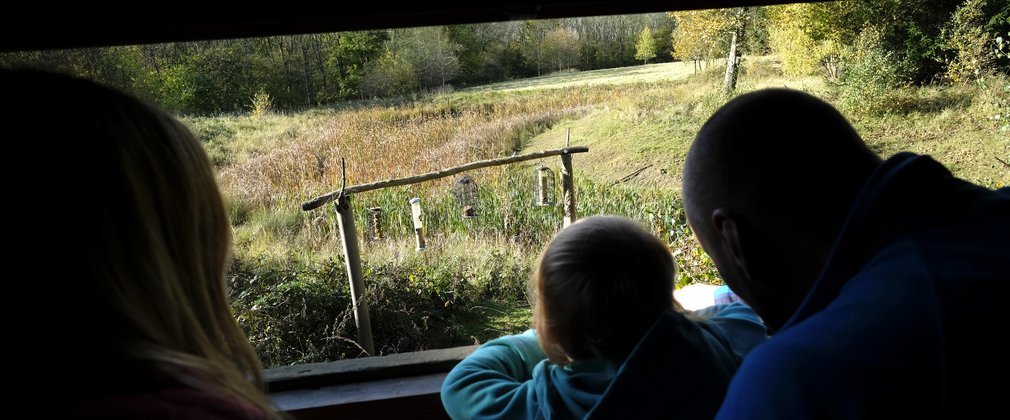 Family at wildlife hide fineshade wood