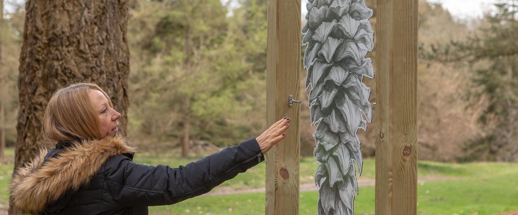 The Art of Trees outdoor exhibition Bedgebury National Pinetum