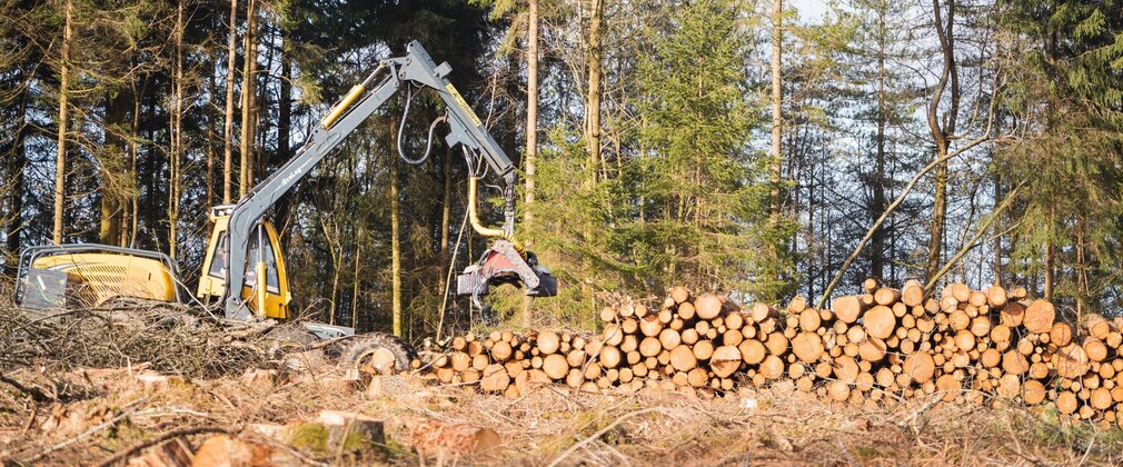 Tree harvester vehicle by a log stack in the forest.