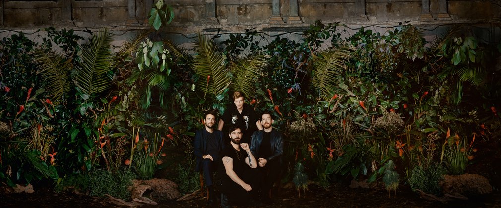 Foals Forest Live