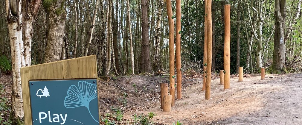 Play sign in the foreground with balance vertical logs in the background