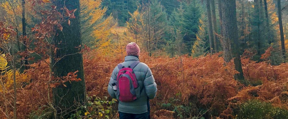 Man stood in forest