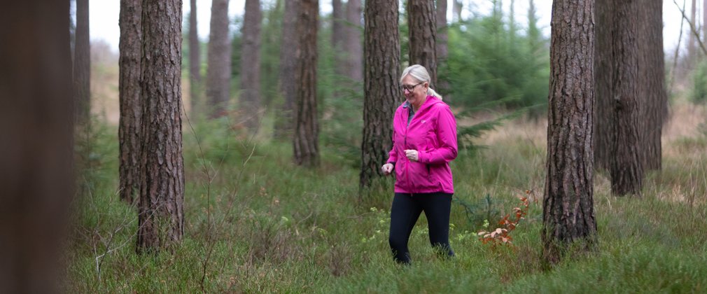 Dilly running in Haldon Forest 