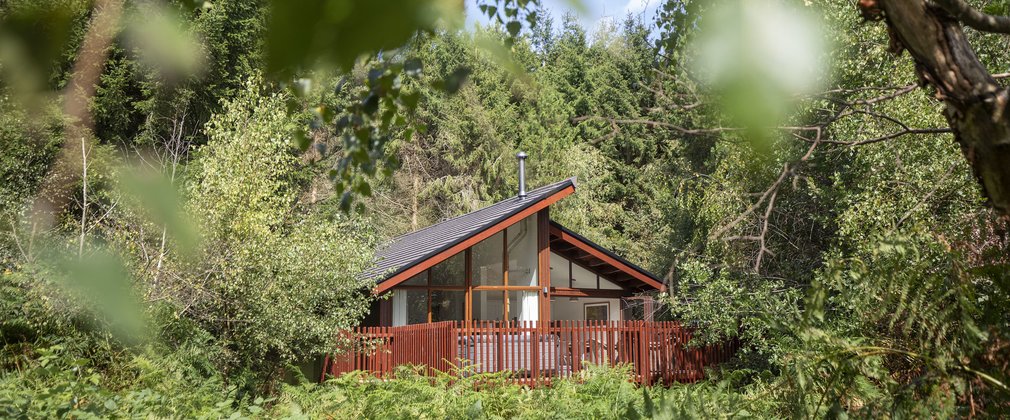 Forest Holidays cabin in the forest on a sunny day