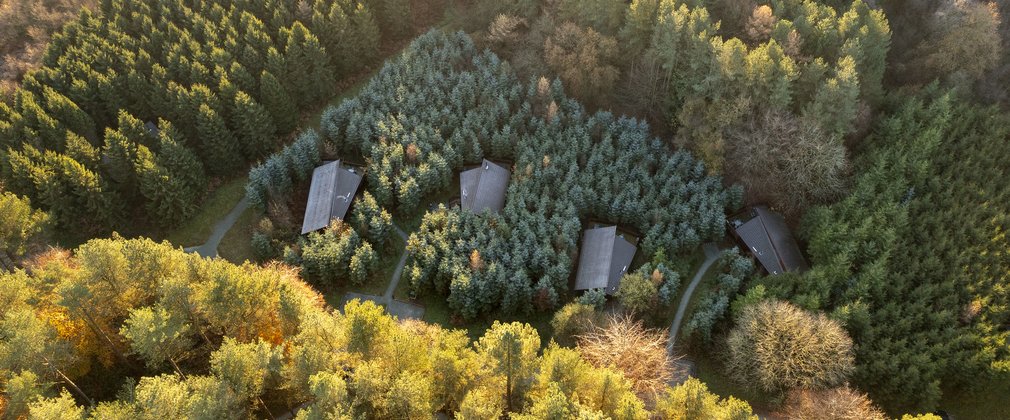Aerial view of four cabin roofs nestled amongst autumn trees in the forest.