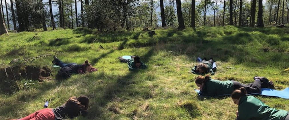 Forest bathing