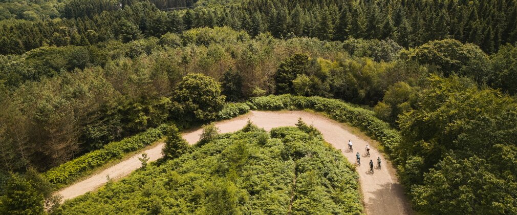 Aerial view of green forest with cyclists on a winding path.