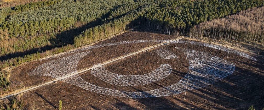 Painted Forest Eye from sky