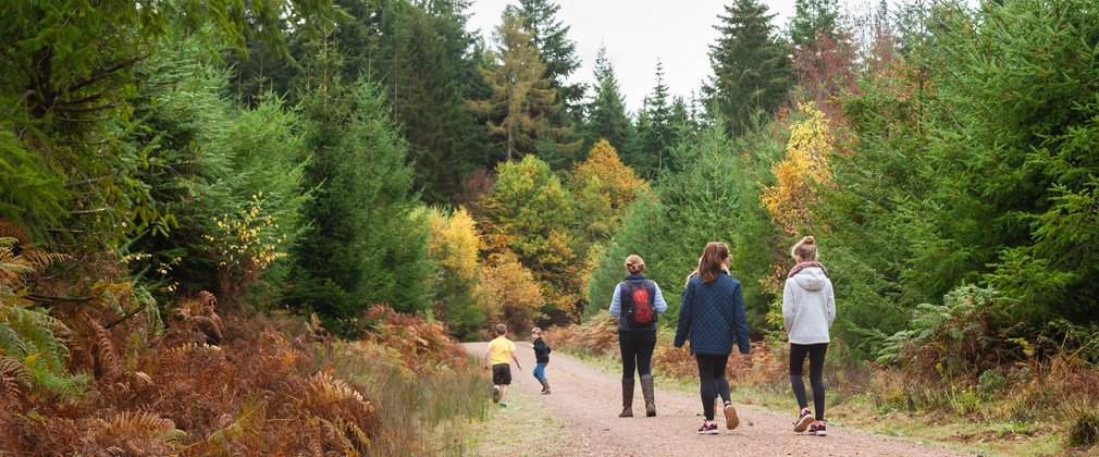 family walking through forest of dean